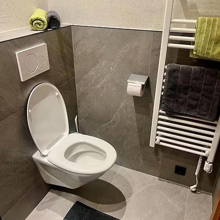 Alpenapart Gruener *